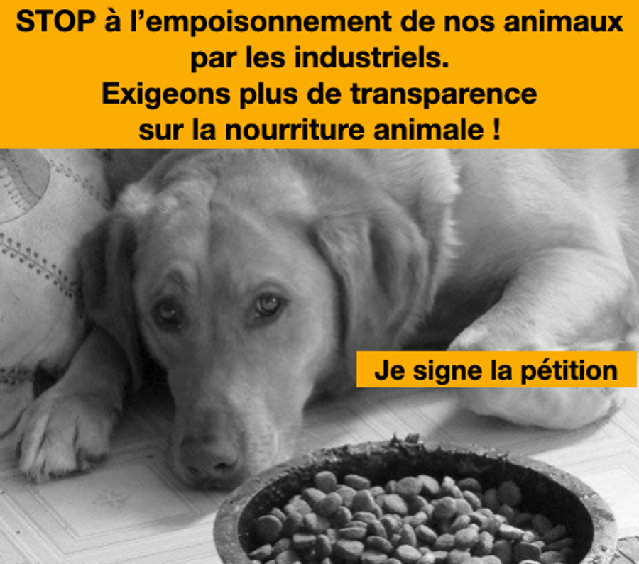 Image de la pétition