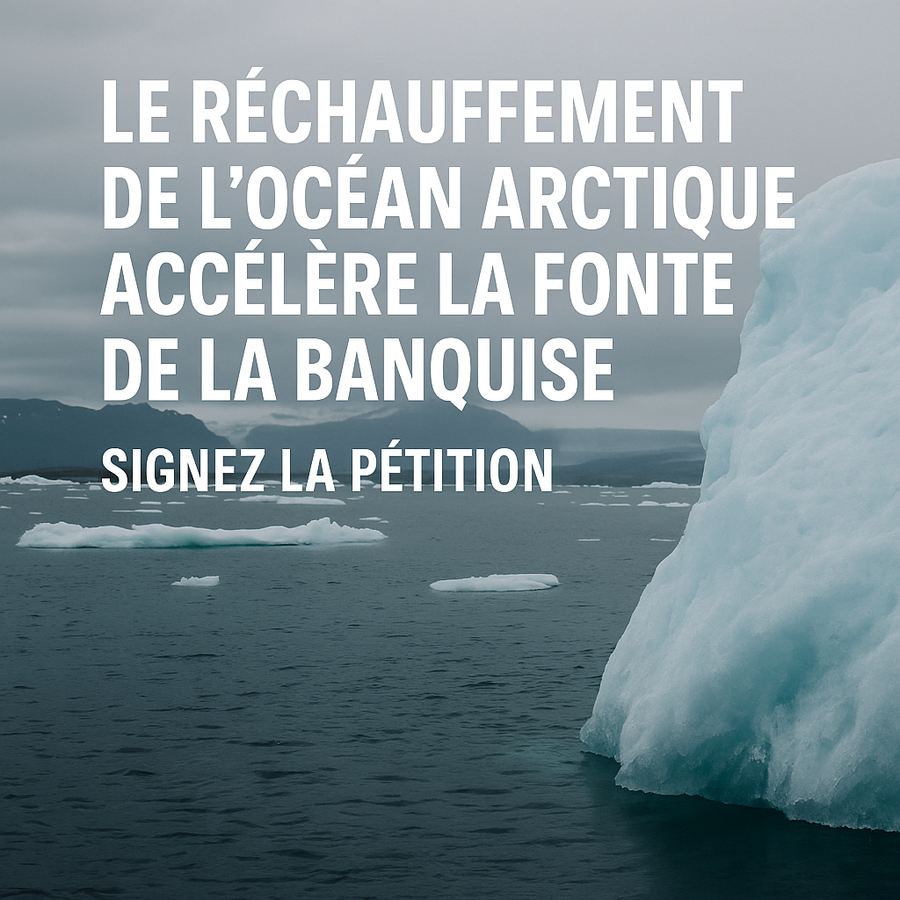 Image de la pétition