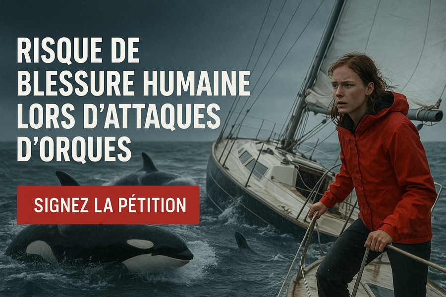 Image de la pétition